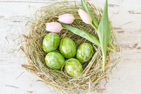 Green Easter eggs Foto stock