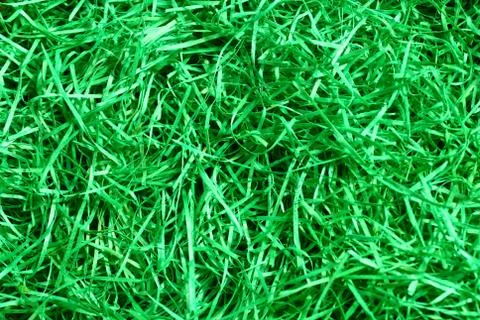 Green easter grass Stock Photos