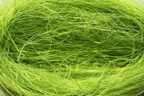 Green easter grass Stock Photos