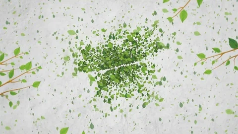 Green Eco Stock After Effects