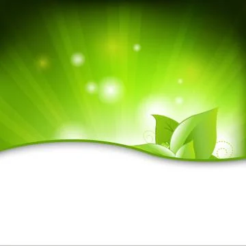 Green eco background with leafs Stock Illustration