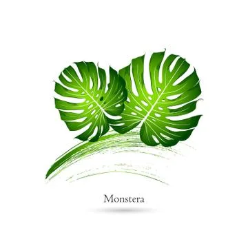 Green eco isolated leaf monstera on  white pattern. Logo. Stock Illustration