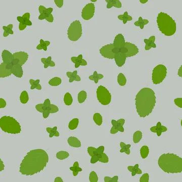 Green eco mint leaf background. Ecology mint seamless pattern design plant il Stock Illustration