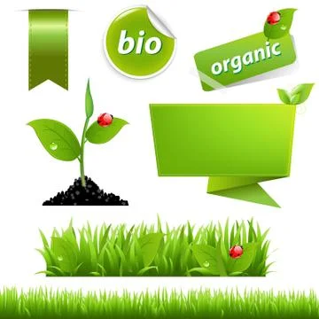Green eco set with leaf and ladybug Stock Illustration