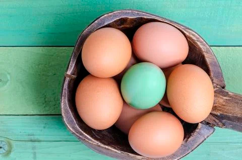 Green egg Stock Photos