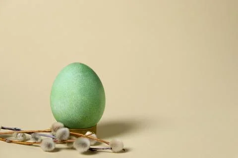 Green egg rests on a small stand next to branches with soft buds on a light Stock Photos