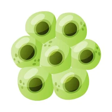Green Eggs of Frog or Frogspawn Cluster Vector Illustration Stock Illustration