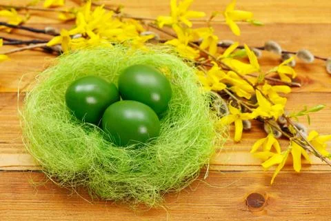 Green eggs in nest Stock Photos