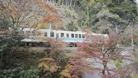 Green Eizan Train Crossing an Autumn Railway Bridge in Kyoto 库存影片 348617876