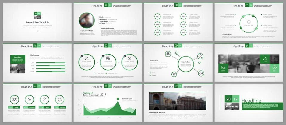 Green elements of infographics for minimalist design Stock Illustration