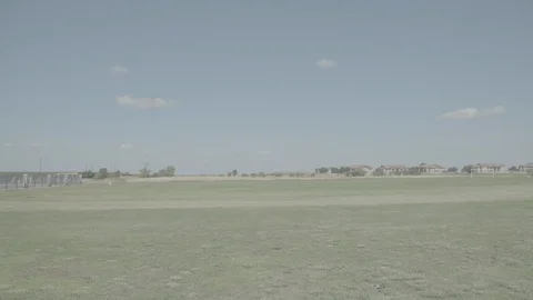 Green empty field with bright blue sky Stock Footage 105262237