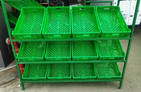 Green empty plastic boxes are on the shelves for various products and fruit.. Stock Photos