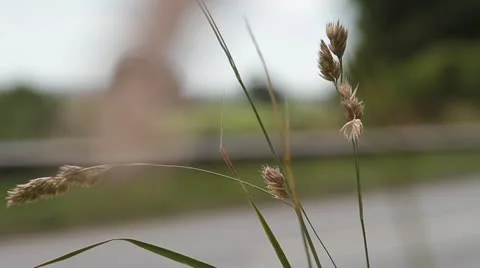 Green enegry - HD Stock Footage 21931160