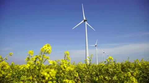 Green energy Stock Footage 132904075