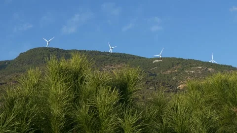 Green Energy Stock Footage 333120088