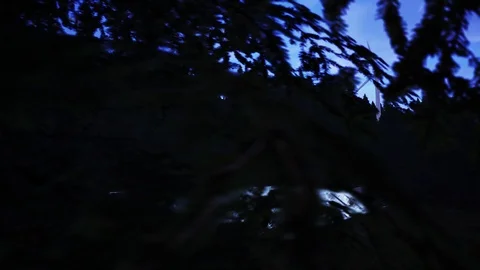 Green Energy series Stock Footage 127084580