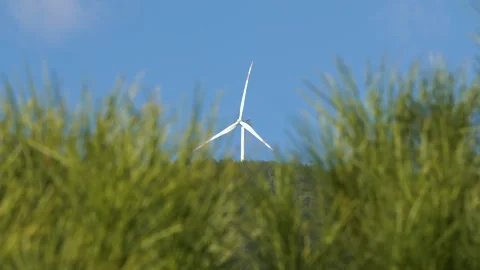 Green Energy Sources Stock Footage 330345844