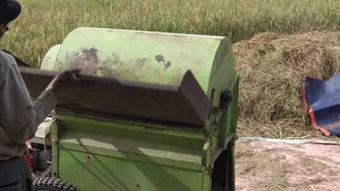 Green engine with a black tray to separate rice grains from the stem Stock-Footage 304238547