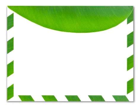Green envelope made from green leaf isolated on white background Stock Photos