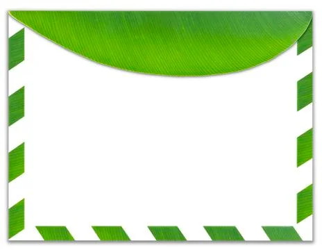 Green envelope made from green leaf isolated on white background Stock Photos