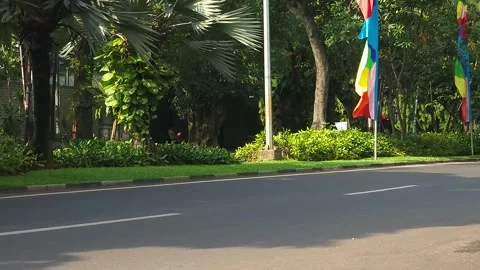 Green Enviroment Stock Footage 243705958