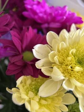 Green environment from any side of view, colorful plants and flowers, closeup. Stock Photos