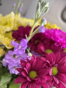 Green environment from any side of view, colorful plants and flowers, closeup. Stock Photos
