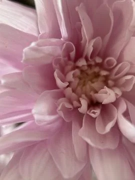 Green environment from any side of view, colorful plants and flowers, closeup. Stock Photos