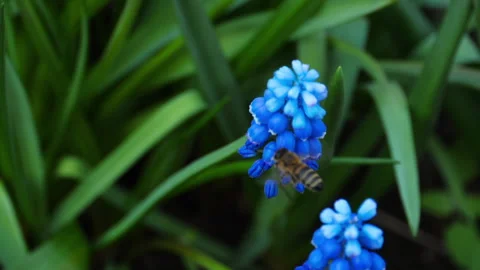 Green environment concept. Stock-Footage 157705487