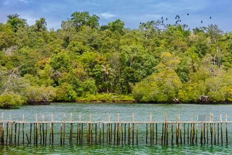 Green Environment Stock Photos