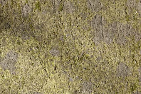 Green eroded wall surface texture. Fotos de archivo