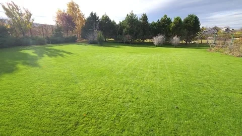 Green evenly cut lawn in the yard Stock Footage 298024222