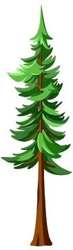 Green Evergreen Conifer Tree Vector Illustration Isolated on White Background Stock Illustration