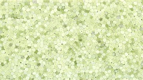 Green expanded polystyrene plastic texture background Stock Illustration