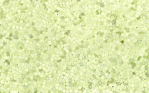 Green expanded polystyrene plastic texture background Stock Photos