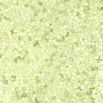 Green expanded polystyrene plastic texture background Stock Photos