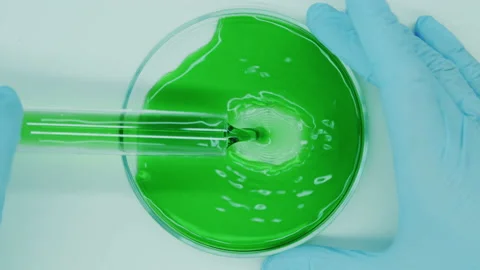 Green extract in petri dishes. Stock Footage 165266387