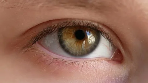 Green Eye of Child Looking at Camera Close Up. Vídeos de archivo 152658755