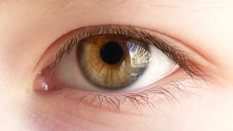 Green Eye of Child Looking at Camera Close Up. Stock Footage 152658779