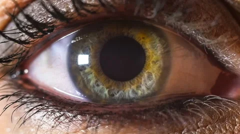 Green eye contracting slow motion Stock Footage 45657691