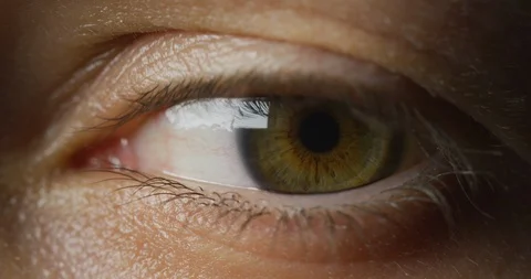 Green eye Stock Footage 99745386