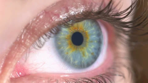 Green eye Stock Footage 210172966