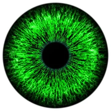 Green eye Stock Illustration