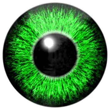 Green eye Illustrazione stock