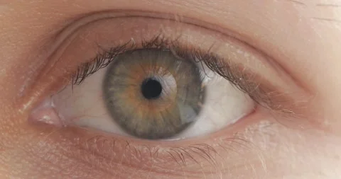 Green eye .The iris of the human eye is narrowed Stock Footage 201538068