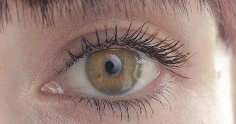 Green eye .The iris of the human eye is narrowed. Stock Footage 201538074