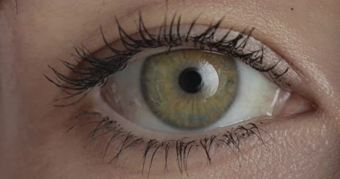 Green eye .The iris of the human eye is narrowed. Stock-Footage 201538101