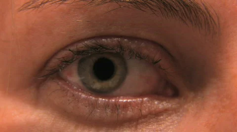 Green Eye Macro Stock Footage 291134