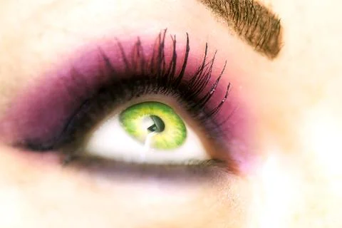 Green eye macro Stock Photos