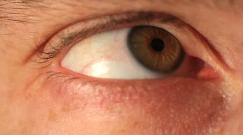 Green eye man close up studio Stock Footage 24784229
